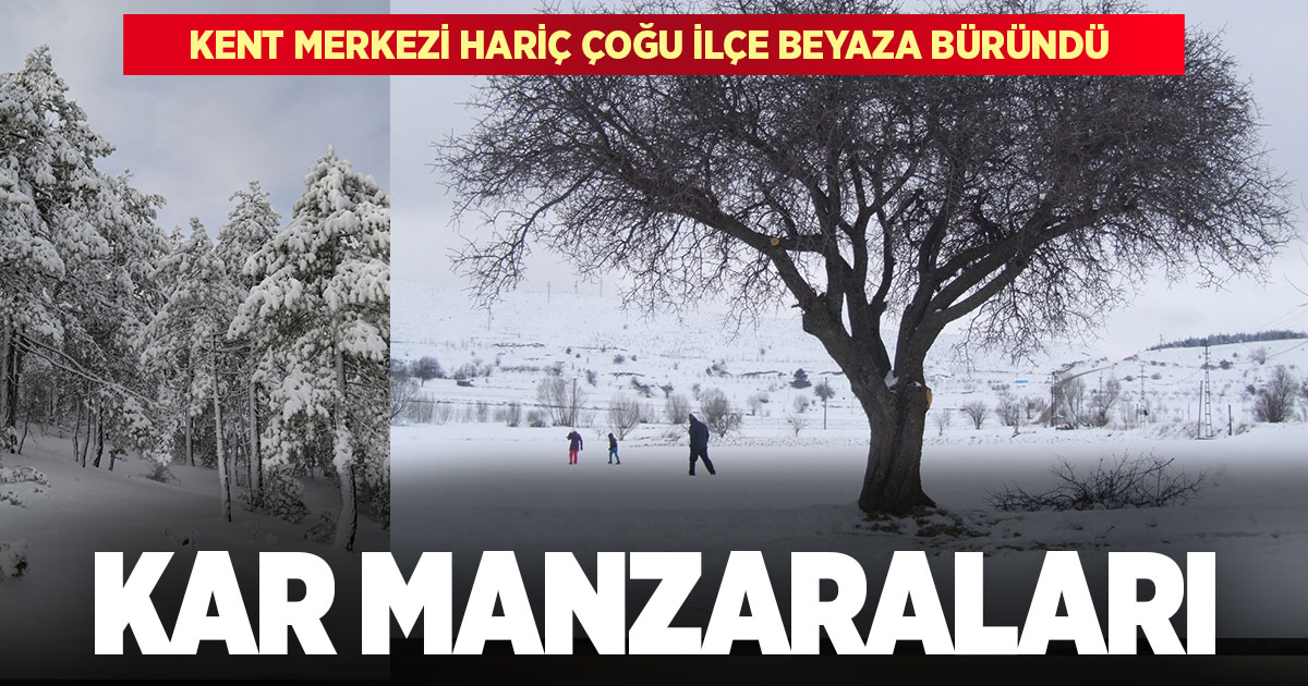 Denizli’de kar yağışı 15 ilçede etkili oldu