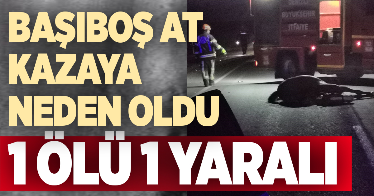 Başıboş ata çarpan otomobil takla atarak hurdaya döndü: 1 ölü 1 yaralı