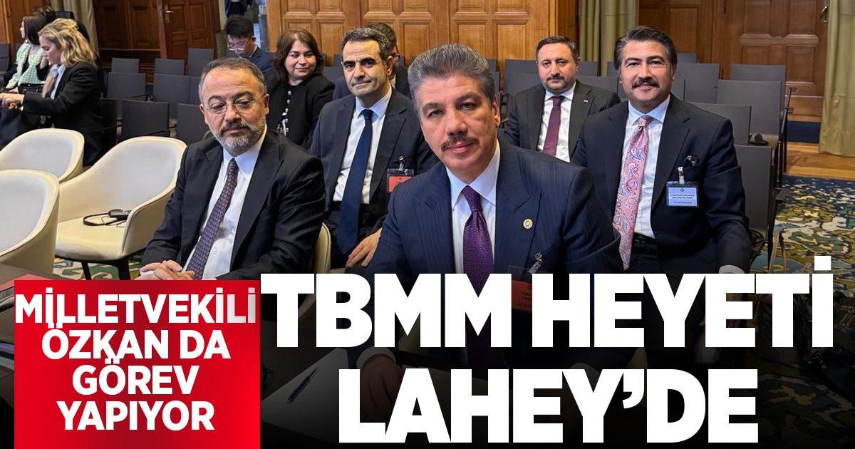 TBMM Heyeti Hollanda’da Uluslar arası Adalet Divanı duruşmasına katıldı