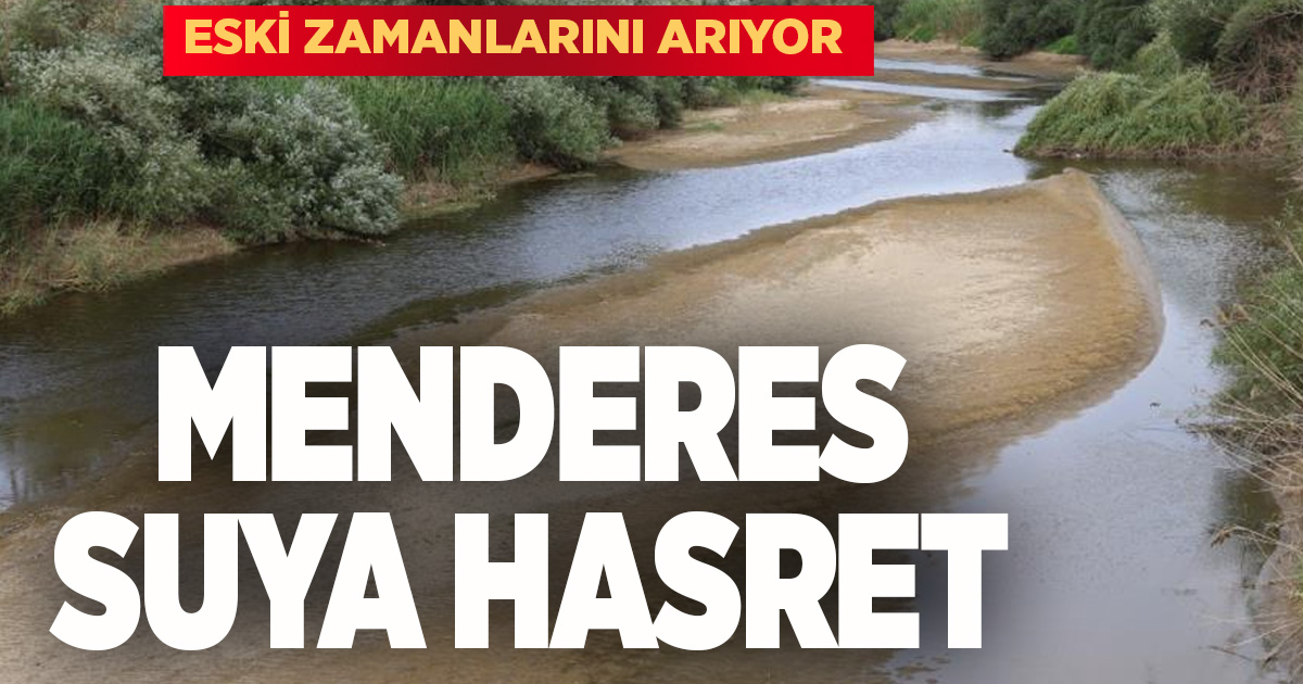 Bir zamanlar taşan Menderes şimdi suya hasret