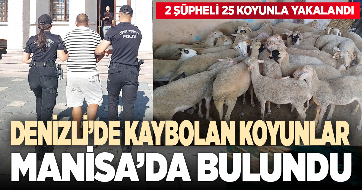 Denizli’de kaybolan koyunlar Kırkağaç’ta bulundu