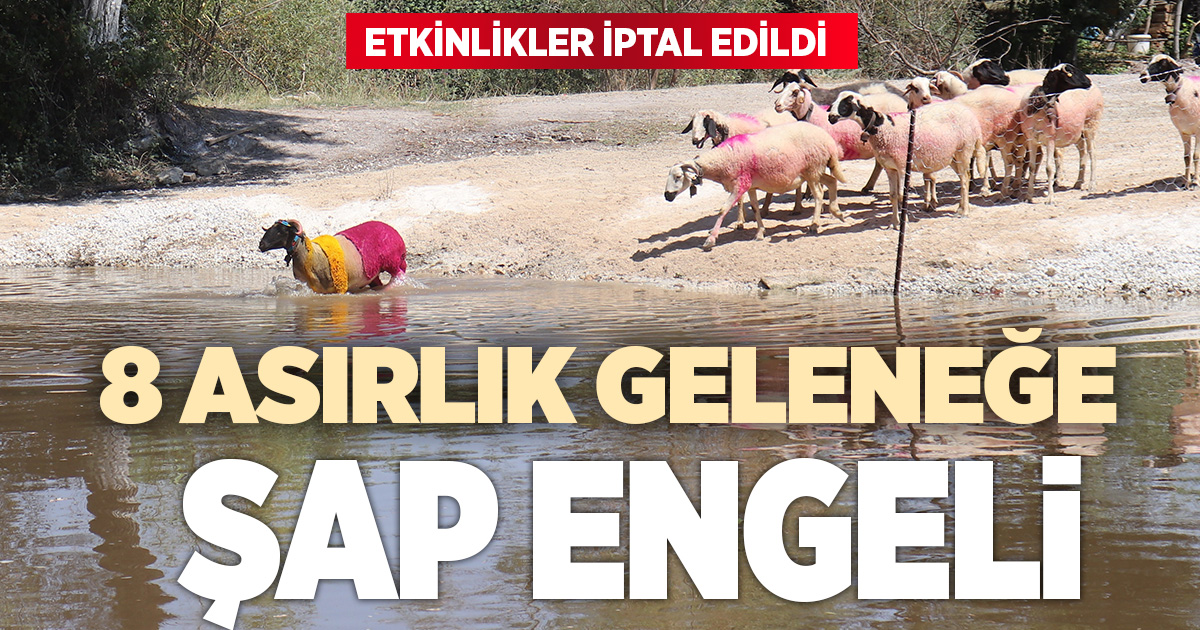 8 asırlık geleneğe şap engeli