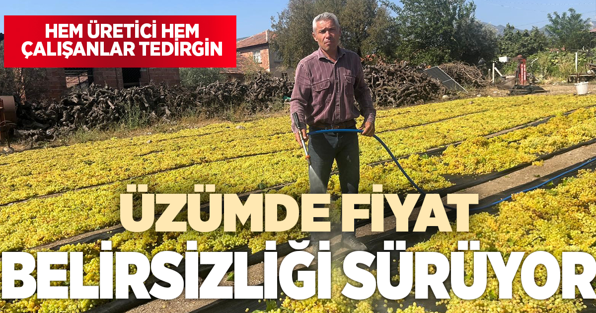 Üzümde fiyat belirsizliği hem üreticiyi hem de çalışanları tedirgin ediyor