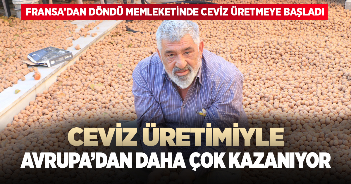 Ceviz üretimiyle Avrupa’dan daha çok kazanıyor