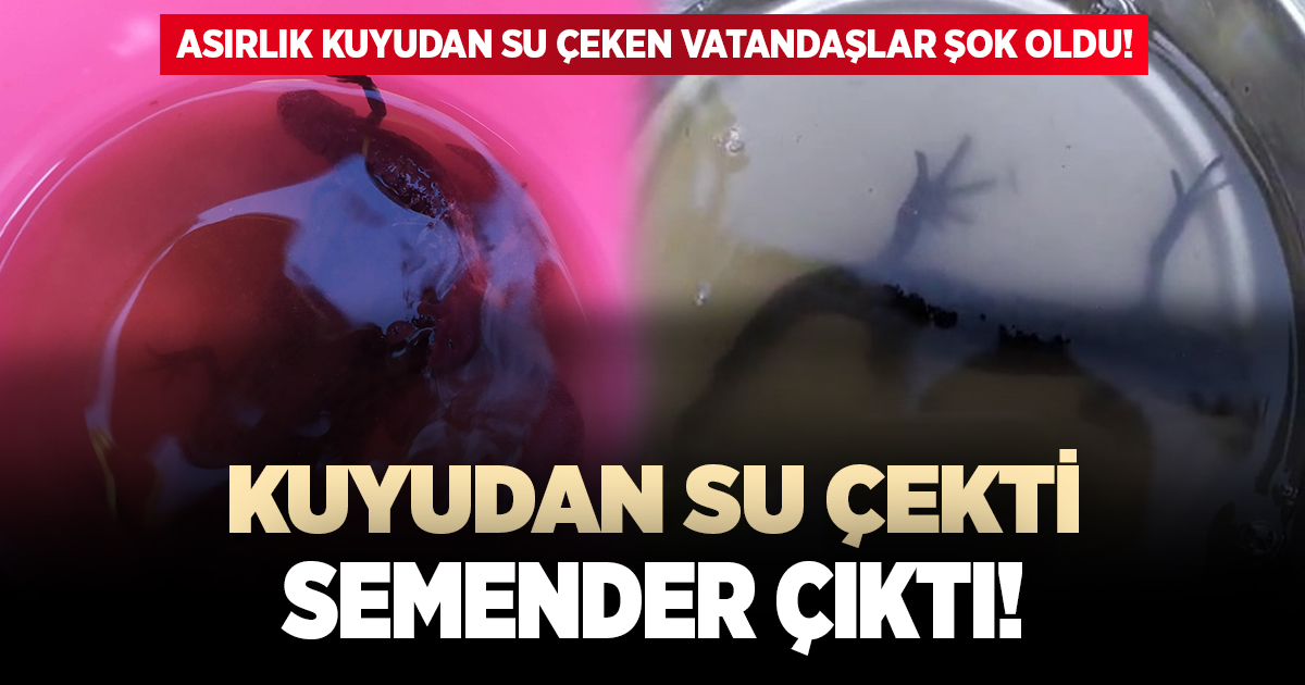 Kuyudan su çekti semender geldi!