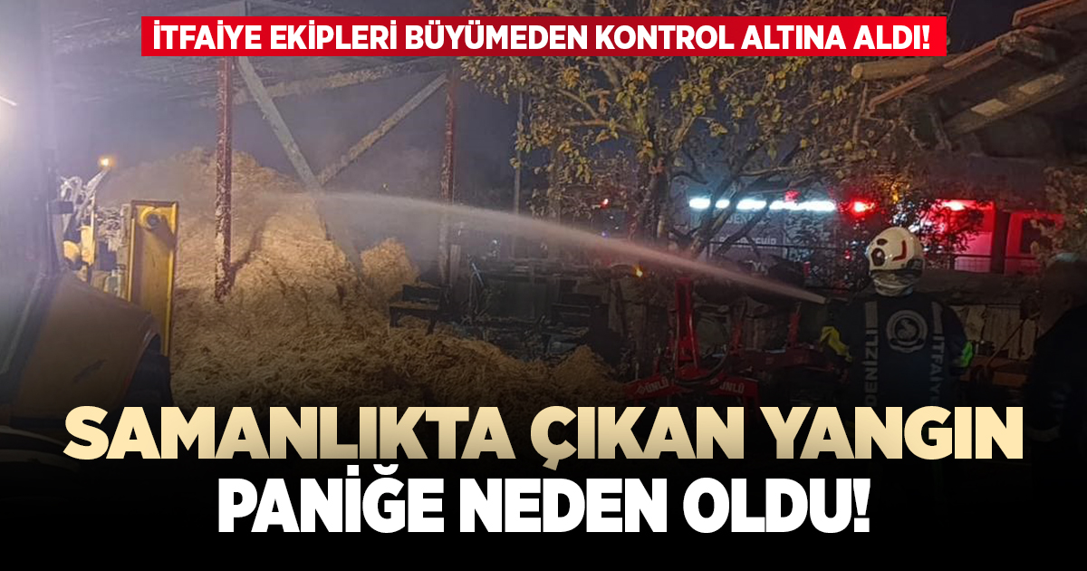 Samanlık yangını paniğe neden oldu
