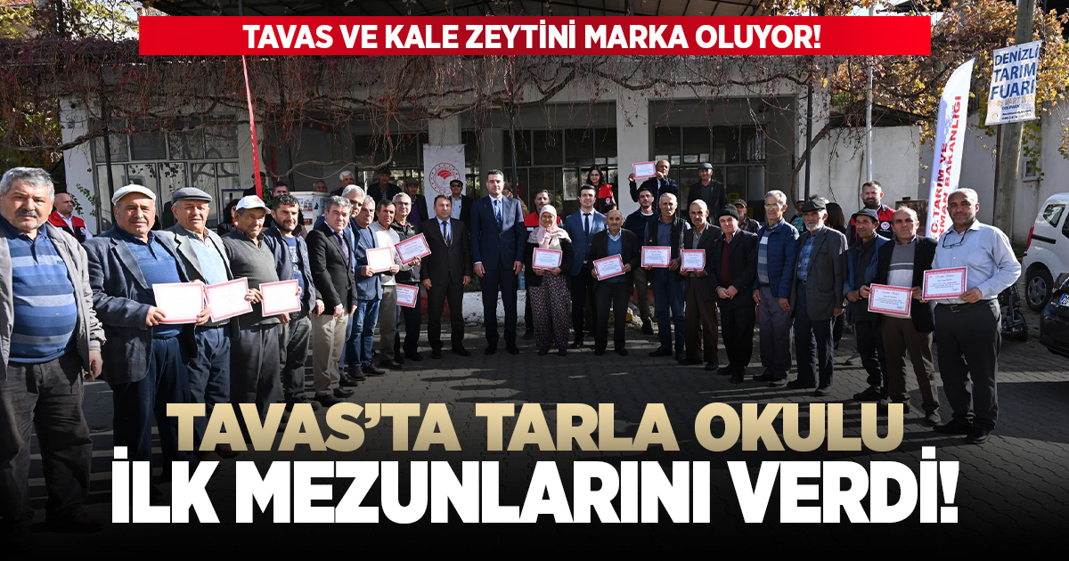 Tavas ve Kale zeytini marka oluyor!