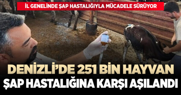 Denizli’de 251 bin hayvan şap hastalığına karşı aşılandı