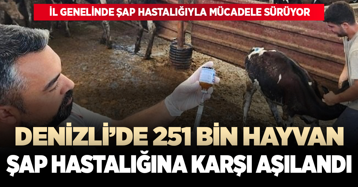 Denizli’de 251 bin hayvan şap hastalığına karşı aşılandı