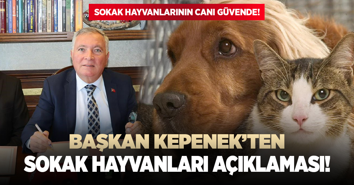 Başkan Kepenek'ten sokak hayvanları açıklaması!