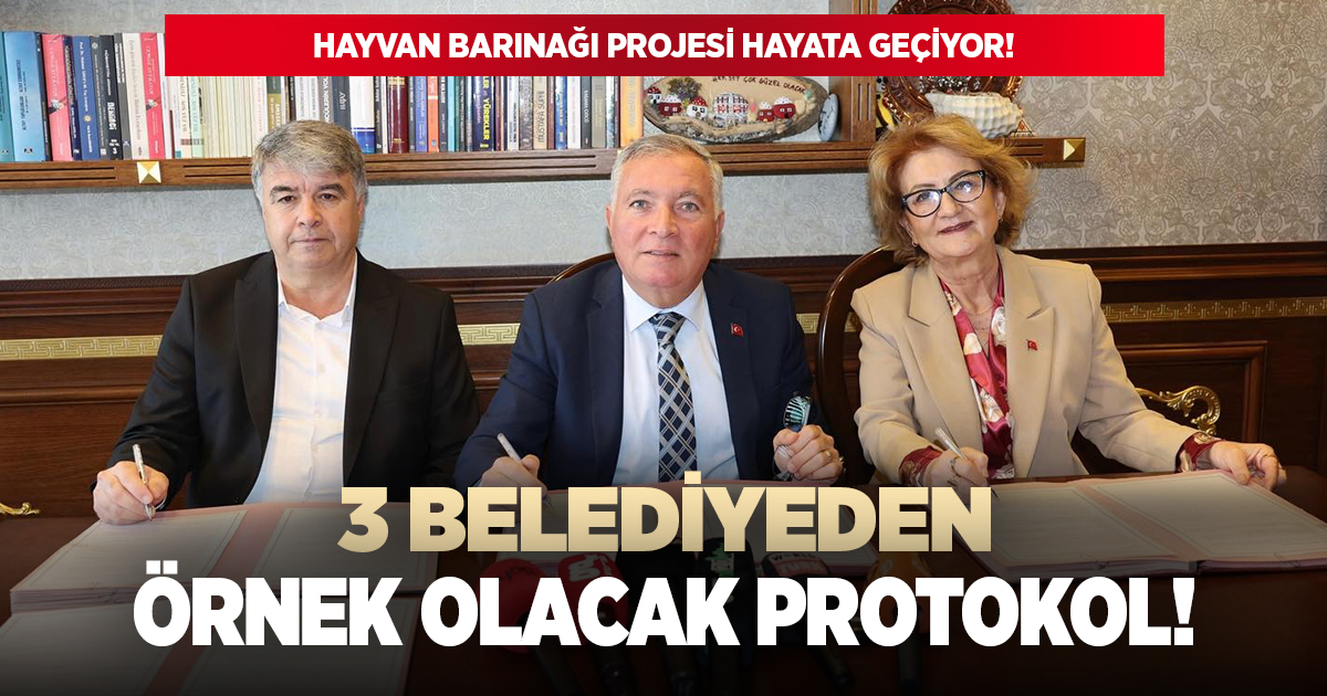Denizli'de 3 belediyeden ortak barınak protokolü