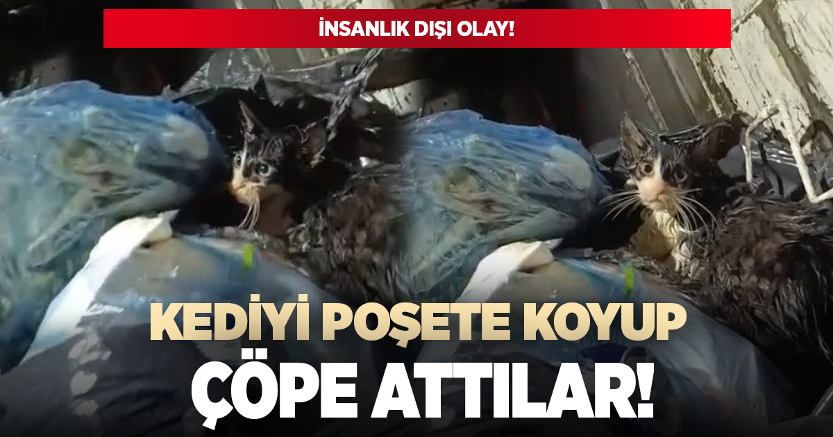 Kediyi poşete koyup çöpe attılar!