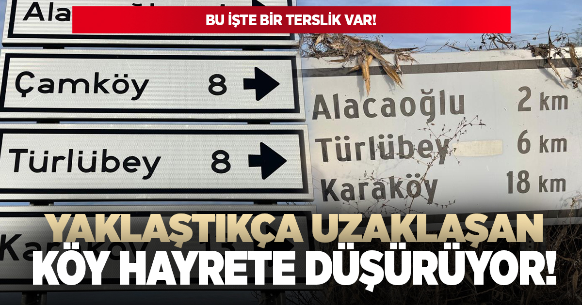 Bu tabelaları görenler hayrete düşüyor!