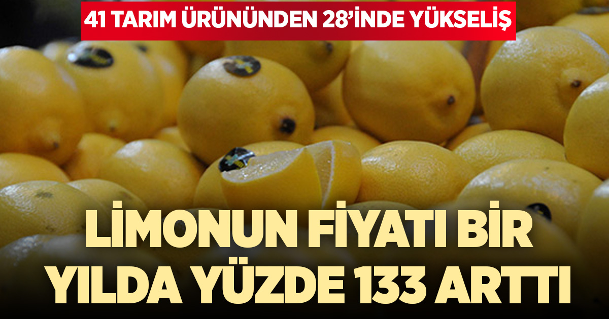 2025’te 41 tarım ürününden 28’inin fiyatı arttı: Rekor limonda