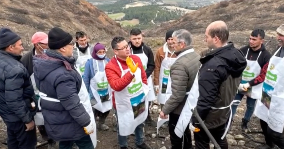 Yanan ormanlar Buldan’da yeniden yeşeriyor