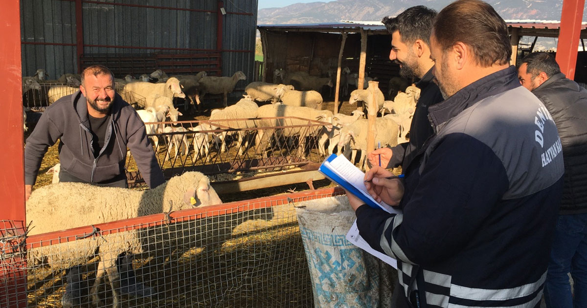 Küçükbaş destek ekipleri sahada