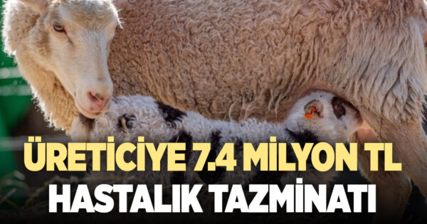 Denizlili üreticiye 7,4 milyon hastalık tazminatı ödemesi yapıldı