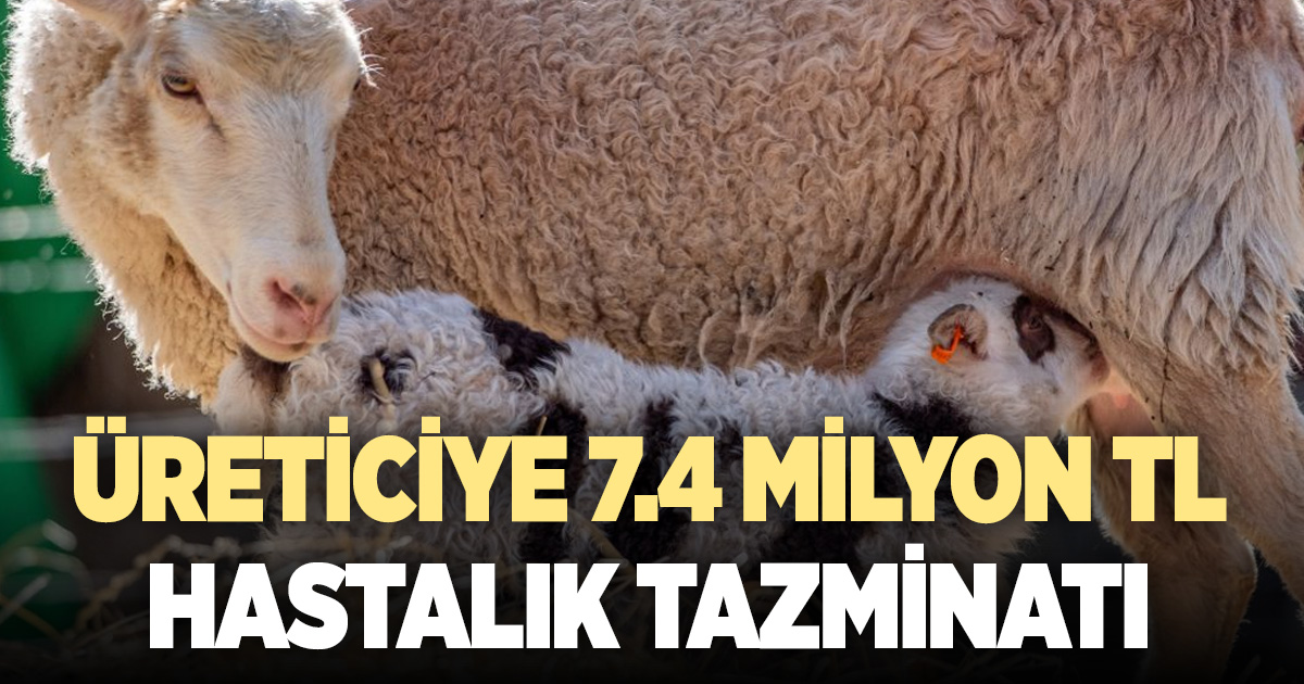 Denizlili üreticiye 7,4 milyon hastalık tazminatı ödemesi yapıldı
