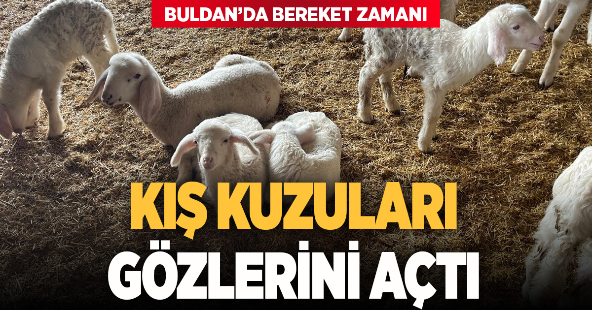 Soğuk havalarda gerçekleşen doğumun ardından üreticilerin yüzü güldü