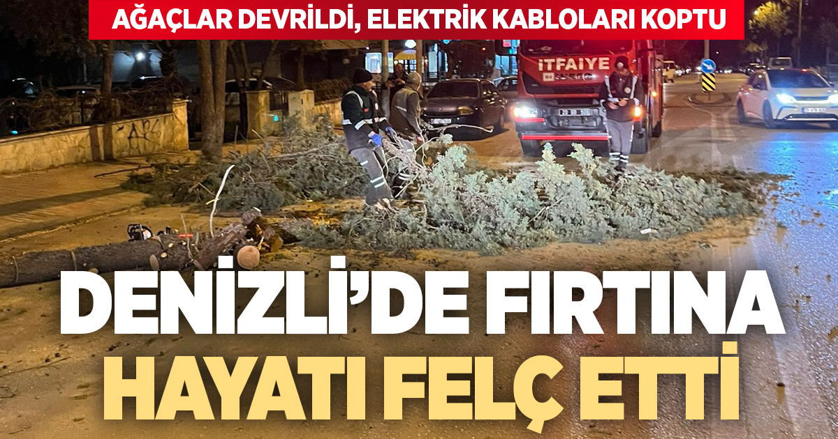 Denizli’de kuvvetli rüzgar hayatı olumsuz etkiledi