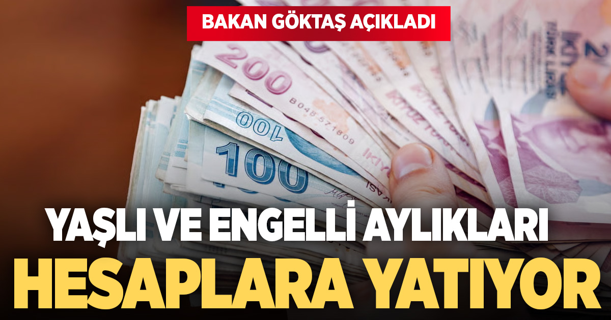 Ocak ayı yaşlı ve engelli aylıkları hesaplara yatırılmaya başlandı