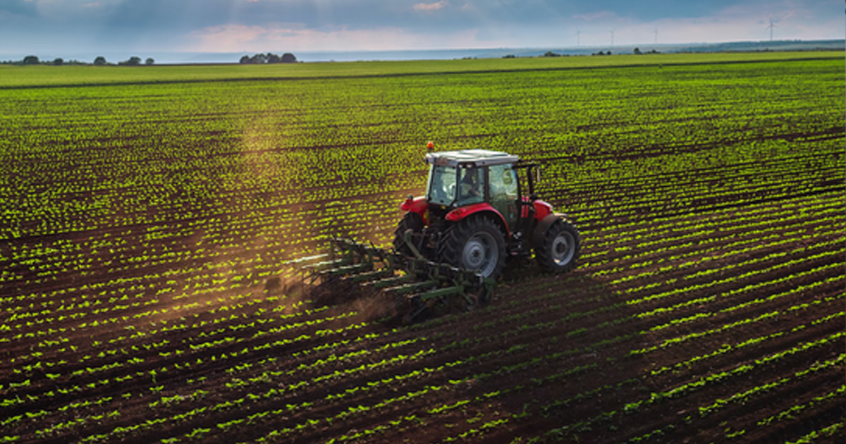 Kırsal kalkınma destek ödemeleri hesaplara aktarılmaya başladı