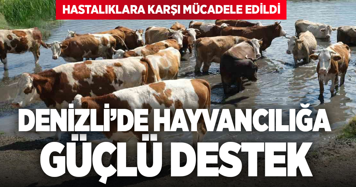 Denizli’de Hayvancılığa Güçlü Destek