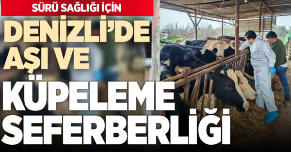 Denizli’de Aşı ve Küpeleme Seferberliği