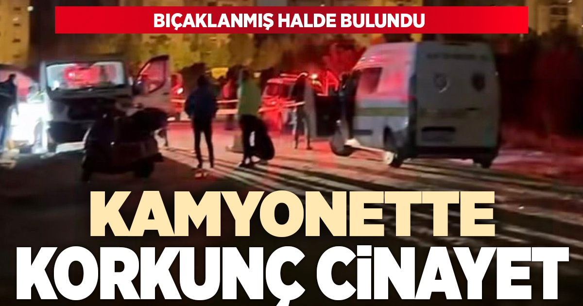 Park halindeki kamyonette korkunç cinayet