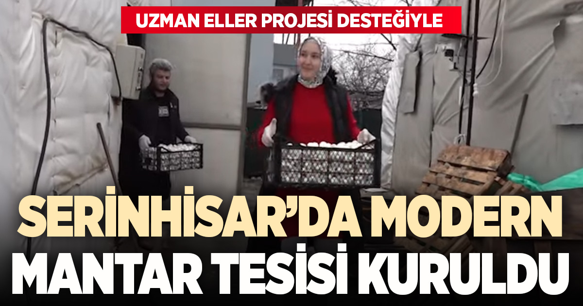 Serinhisar’da Uzman Eller’le modern mantar üretimi başladı