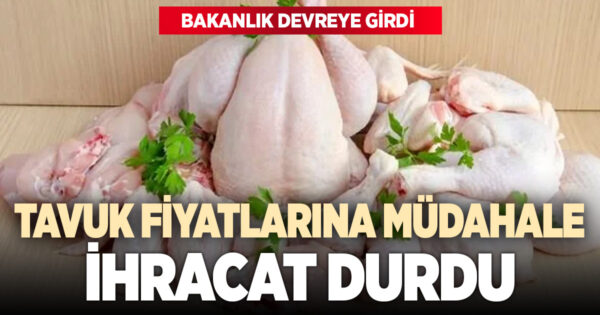 Ramazan öncesi tavuk fiyatlarına müdahale: İhracat durdu