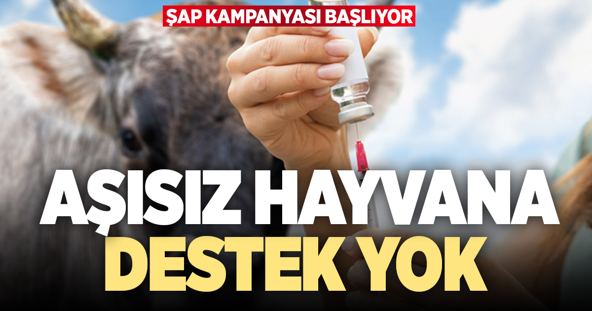 Aşısız hayvana destek yok: Şap kampanyası başlıyor