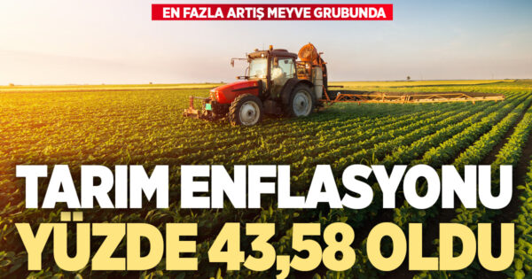 Tarım enflasyonu yıllık yüzde 43,58 oldu