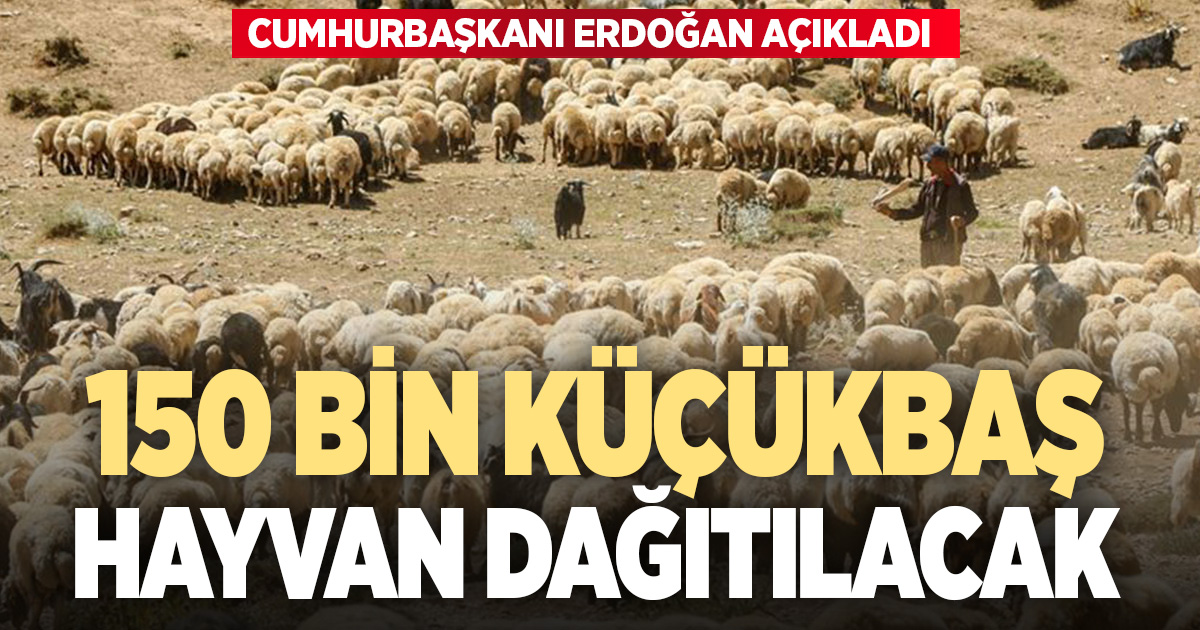 Cumhurbaşkanı Erdoğan üreticiye 150 bin küçükbaş hayvan dağıtılacağını açıkladı