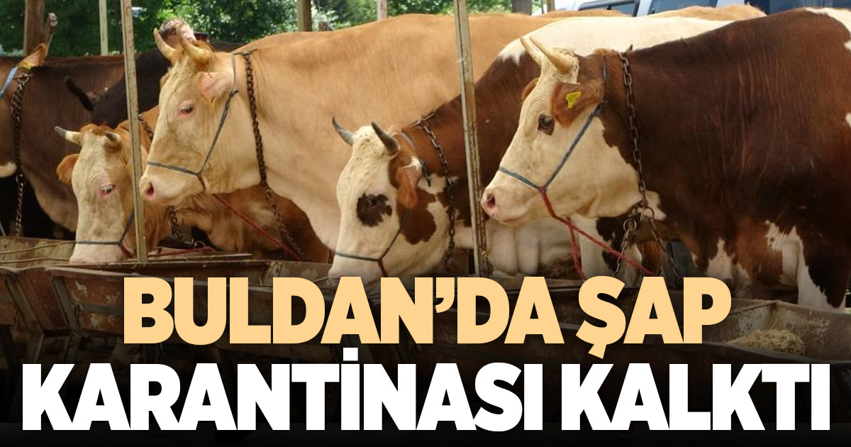 Buldan'da şap karantinası kaldırıldı