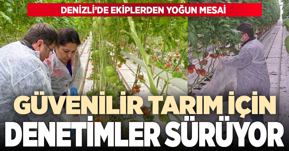 Tarladan sofraya güven