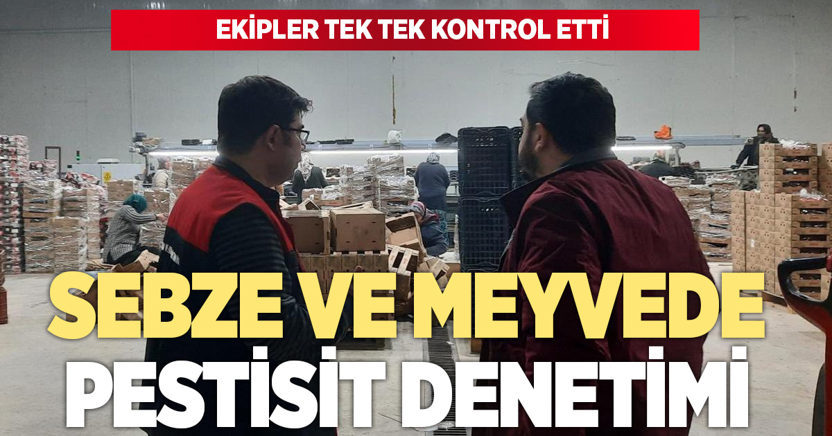 Taze meyve ve sebzede pestisit denetimi