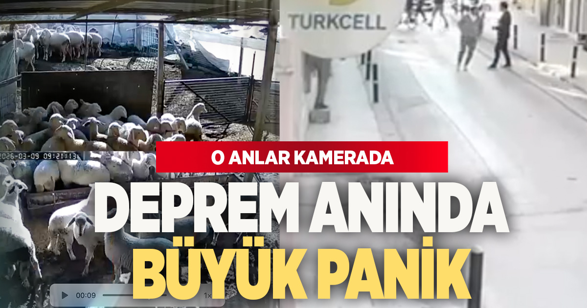 Denizli'de deprem korkusu: Hayvanlar panikledi, market rafları devrildi