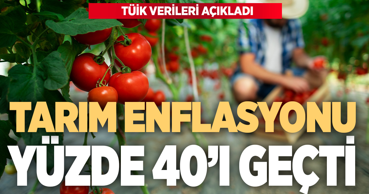 Tarım enflasyonu açıklandı: Yıllık bazda yüzde 40’ı geçti