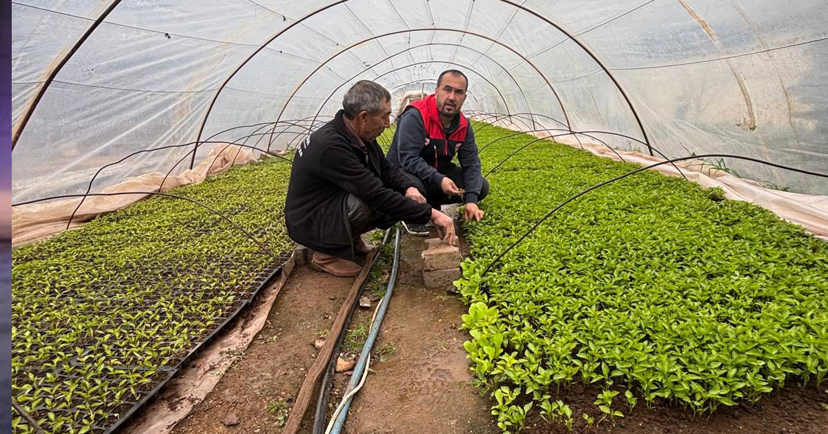 Kale biberinde teknik kontrol ve incelemeler sürüyor