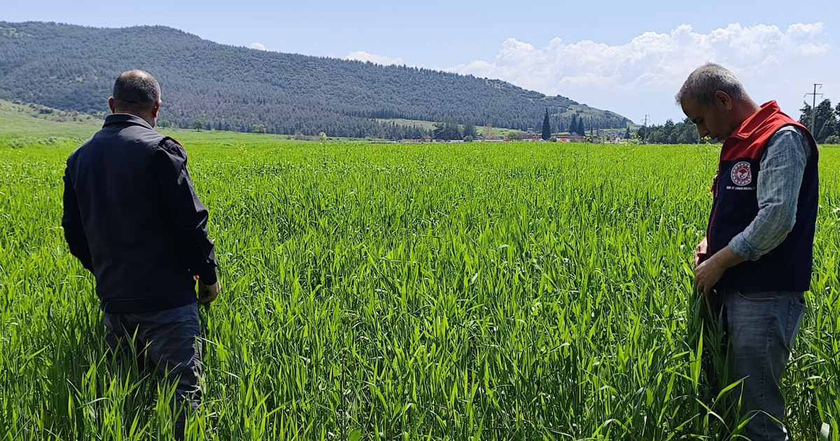 Pamukkale’de dolu alarmı: Ekipler sahada
