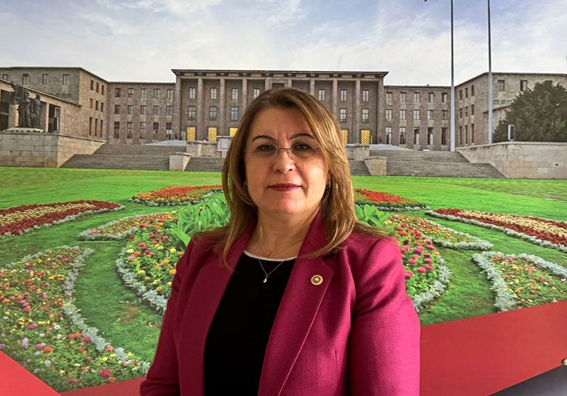 Karaca’dan ‘Görele’ için soru önergesi