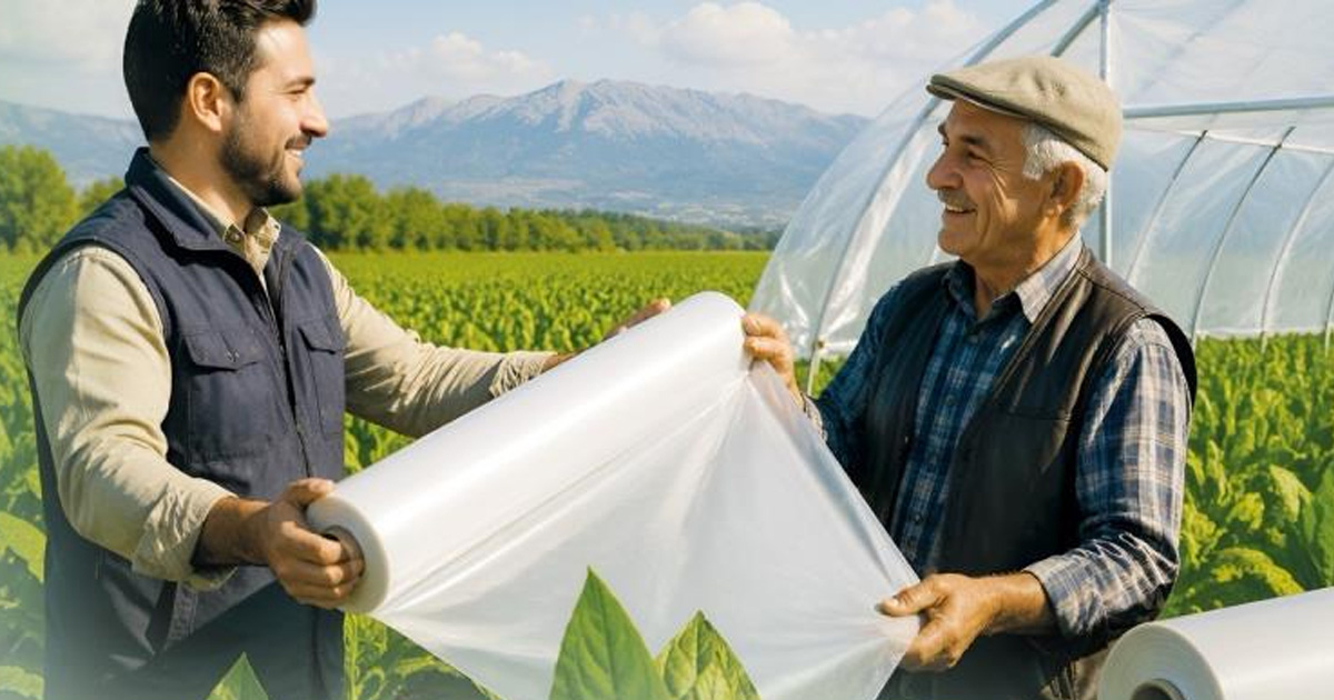 Denizli’de tütün üreticisine destek
