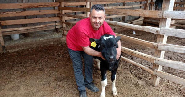 Çal’da Mert için yürekler seferber oldu