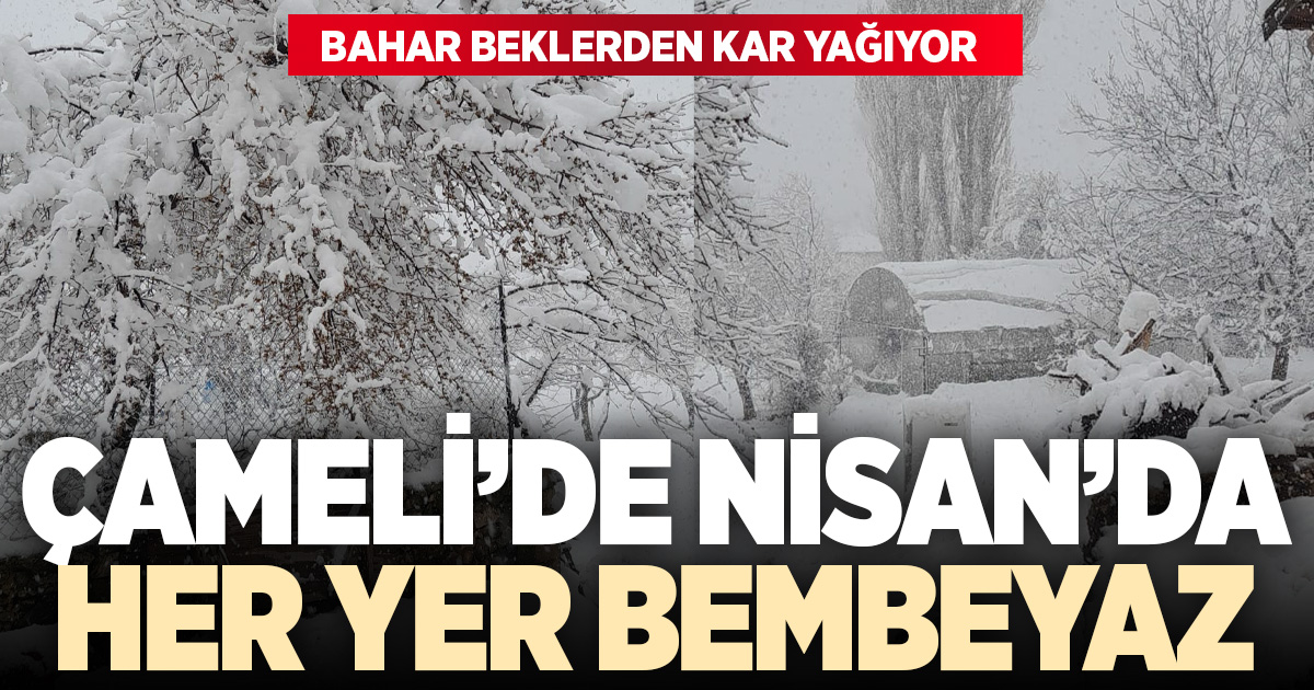 Çameli’nde bahar yerine kar: Beyaz örtü etkisini sürdürüyor
