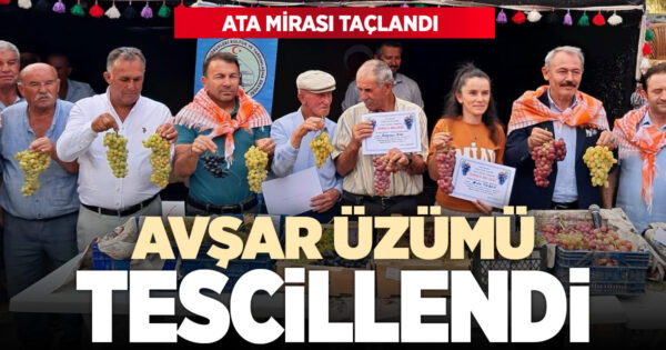 Acıpayam Avşar Üzümü Tesciliyle Ata Mirası Taçlandı