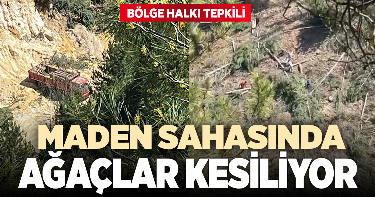 Buldan’da tartışmalı maden sahasında ağaç kesimi başladı