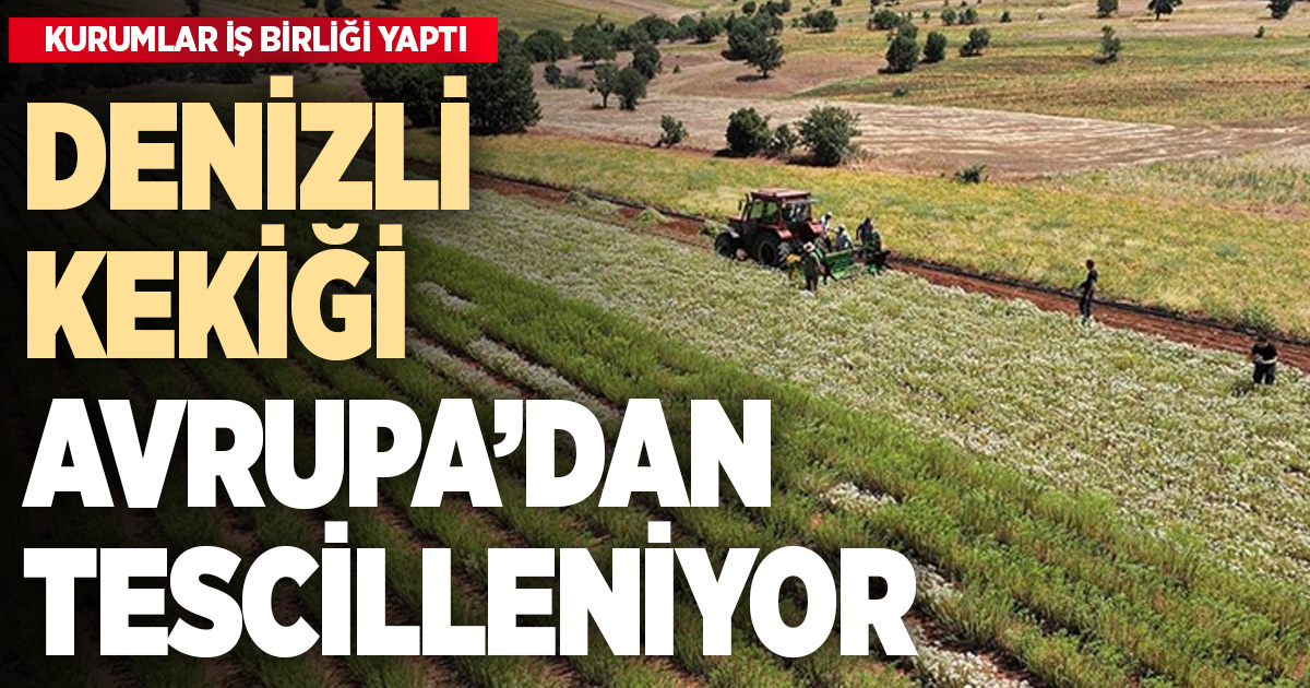 Denizli kekiğinin AB’den coğrafi işaret alması için kurumlar iş birliği yaptı