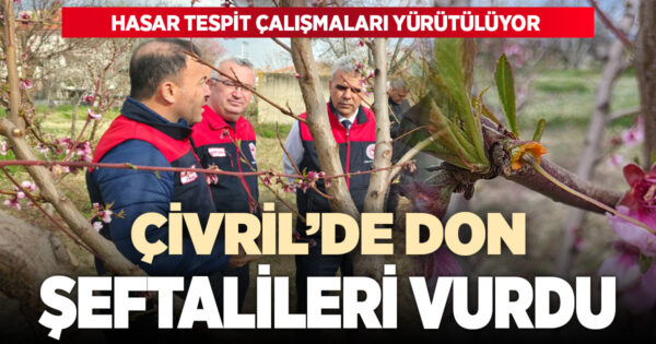 Çivril’de don etkisi: Şeftali ağaçları etkilendi