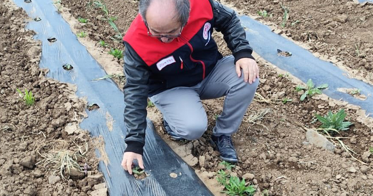 Ani sıcaklık düşüşü sonrası tarım ekipleri sahada
